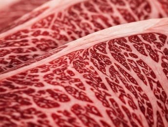 Persillage extrême, Wagyu japonais
